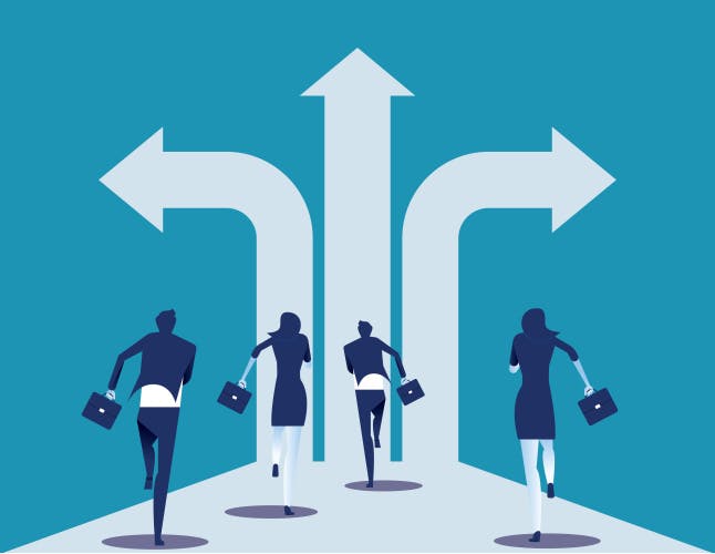 Career path